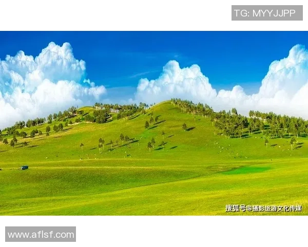 姚明鹏平湖的魅力探索与自然和谐共生的美丽画卷