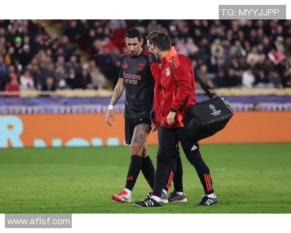 英超激战本菲卡逆袭曼城全场沸腾战报精彩回顾